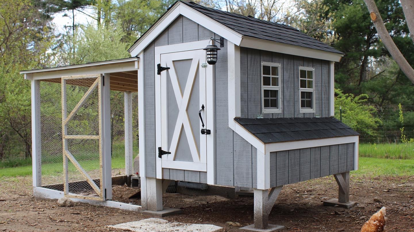 The Best Chicken Coops to Buy in 2026